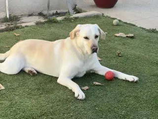Luna