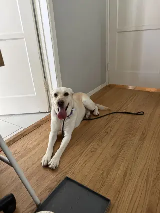 Luna