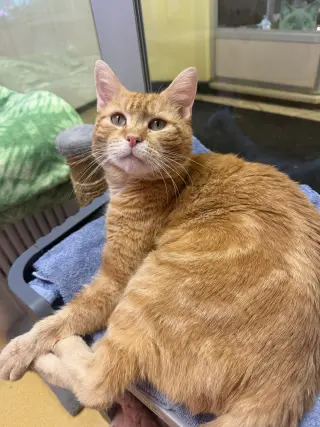 Zeus