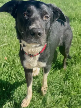 Taz Jr. *Courtesy Post*