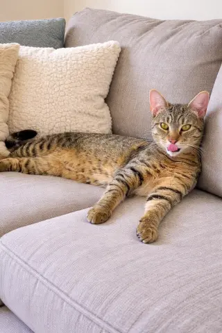 Denver =^.^=