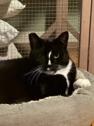 Keena