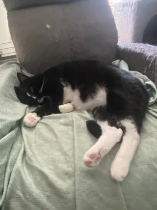 Keena