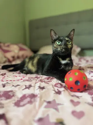 Marley