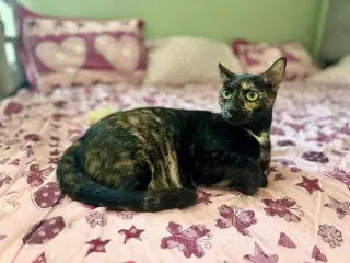 Marley