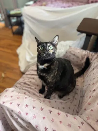 Marley