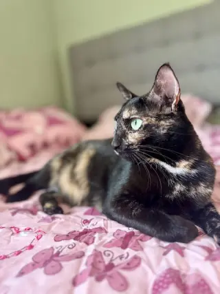 Marley