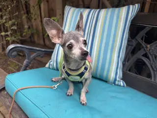 Baxter