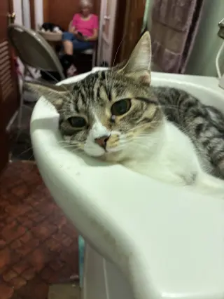 Shiloh