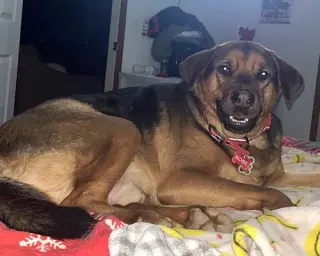 Kobe