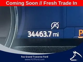 Ford F-150 2023 4x4 XLT 4dr SuperCrew 5.5 ft. SB