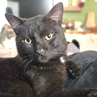 Eddie