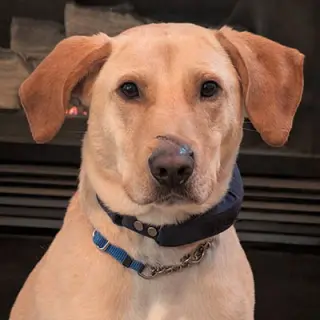 Jake