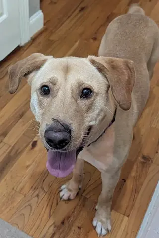 Jake