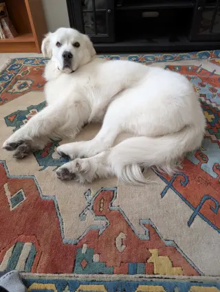 Miss Lucy