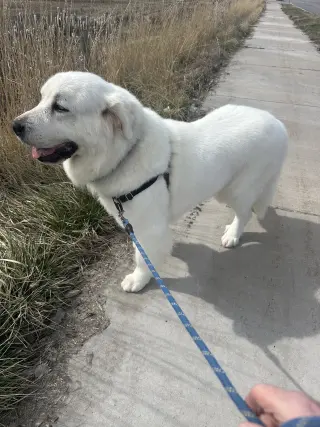Miss Lucy