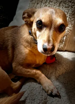 Jack