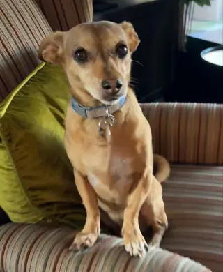 Jack