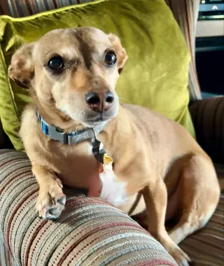 Jack