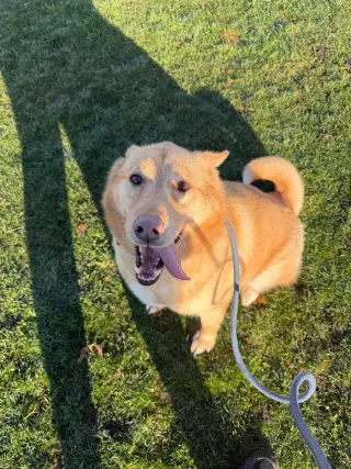 Zeke