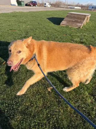 Zeke