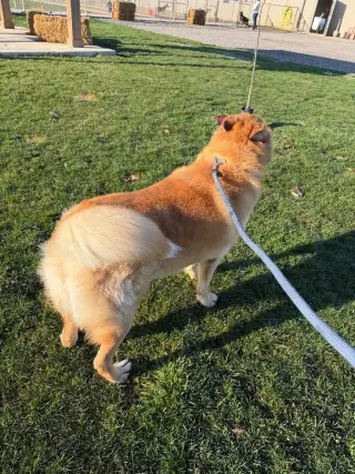 Zeke