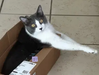 Zeus