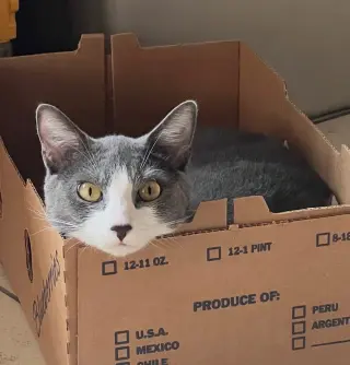 Zeus