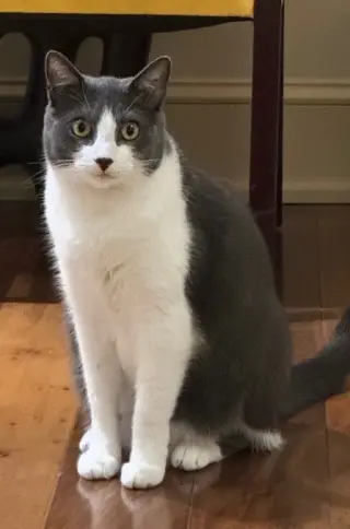 Zeus