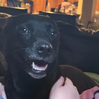 Stormy