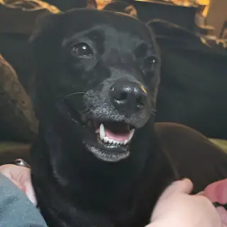 Stormy