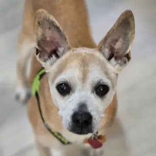 Charlie