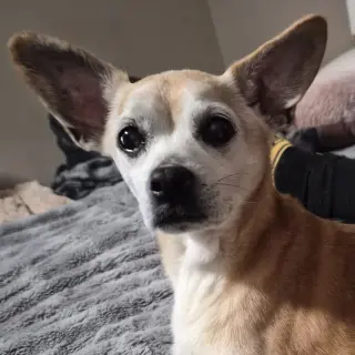 Charlie