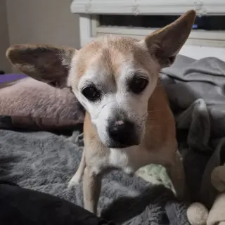 Charlie