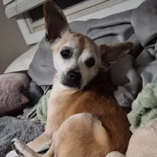 Charlie