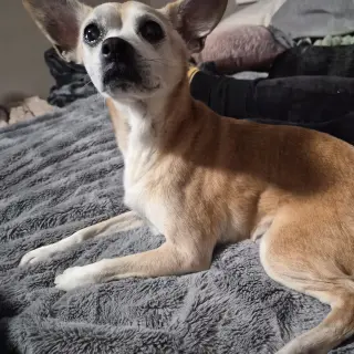 Charlie