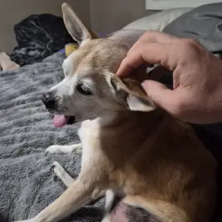 Charlie