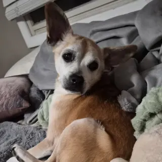 Charlie
