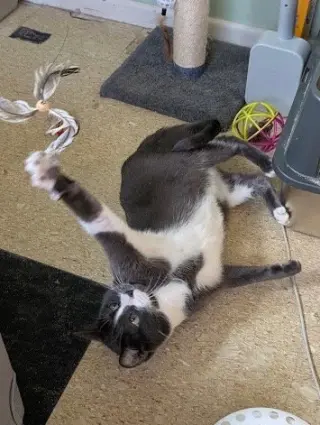 Ghosty