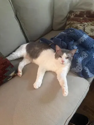 Sleepy