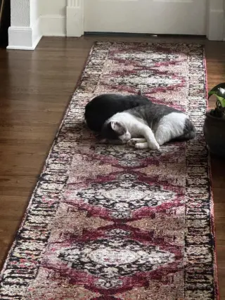 Sleepy