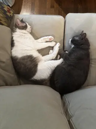 Sleepy