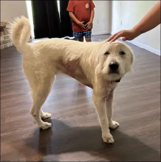 Max