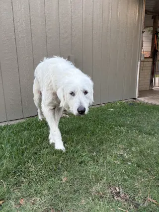 Max