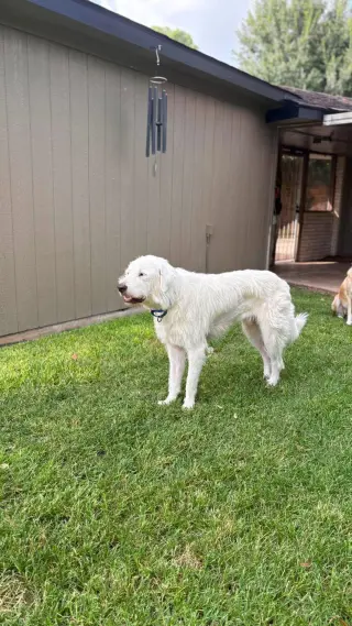 Max