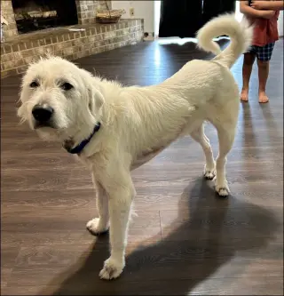 Max