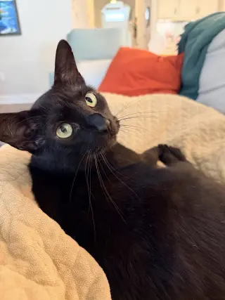 Dane 3.1.24 (From Our Home to Yours)