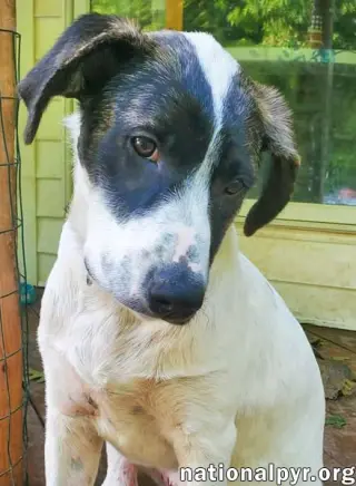 Honey in CT - Calm, Cool & Collected!