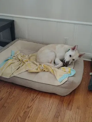 Billy
