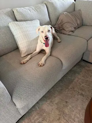 Caesar